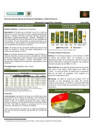 Monografía Tomate Rojo (Jitomate) Junio 2009 - Financiera Rural