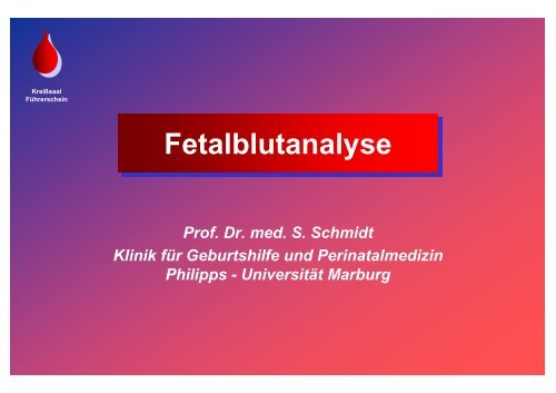 Schmidt: Fetalblutanalyse - Frauenklinik