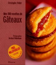 Mes 100 Recettes De Gateaux - Christophe Felder.pdf