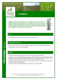 Le Moha - Chambre d'Agriculture des Deux-SÃ¨vres