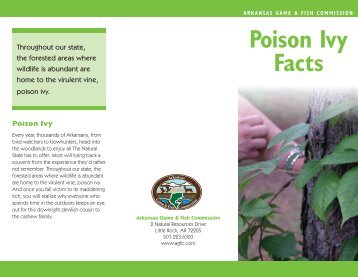 Poison Ivy Facts - Arkansas Game and Fish Commission