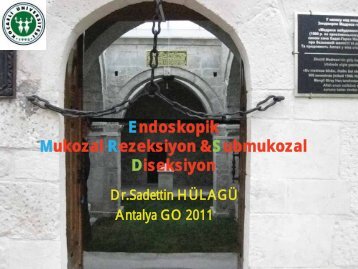 Endoskopik Mukozal Rezeksiyon ve Submukozal Diseksiyon