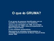 O que Ã© o GRUMA?