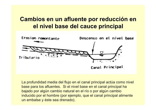 EvaluaciÃ³n de la estabilidad de un cauce - Universidad del Cauca