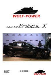 Evo X - Wolf-Power