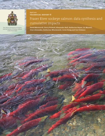 Fraser River sockeye salmon: data synthesis and cumulative impacts