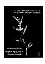 Sondeo del mercado Internacional de Heliconias y Follajes Tropicales