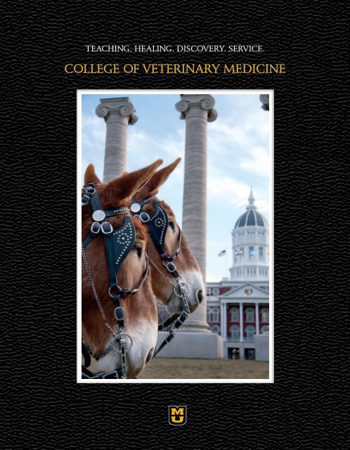 2013/2014 Course Catalog - University of Missouri - College of ...