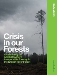 The English River Forest - Greenpeace