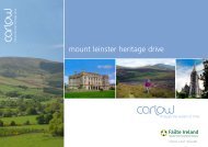 mount leinster heritage drive