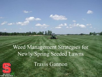 Weed Management Strategies for Newly/Spring Seeded ... - TurfFiles