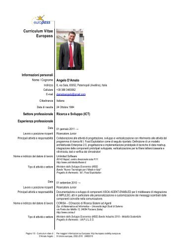 Curriculum Vitae IT - D'Amato Angelo