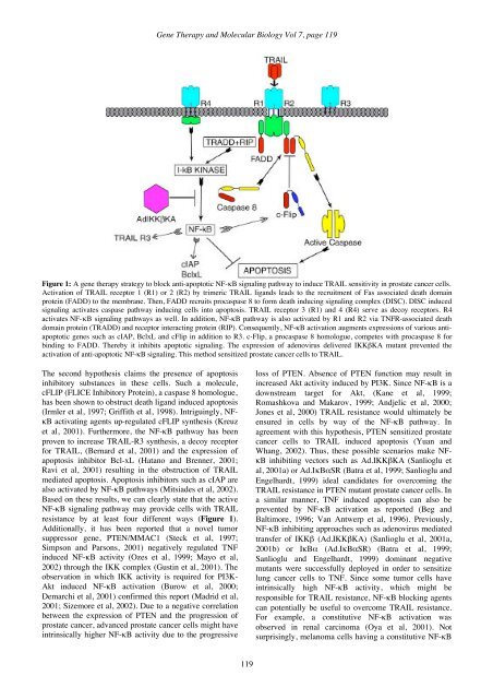 GTMB 7 - Gene Therapy & Molecular Biology