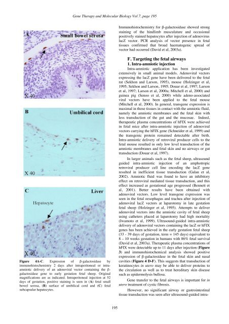 GTMB 7 - Gene Therapy & Molecular Biology