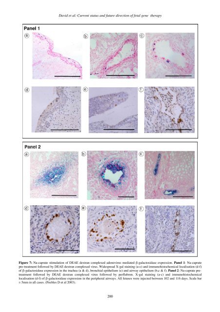 GTMB 7 - Gene Therapy & Molecular Biology