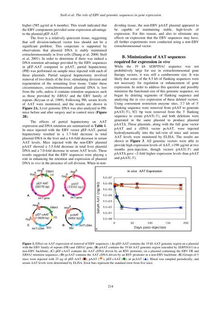 GTMB 7 - Gene Therapy & Molecular Biology