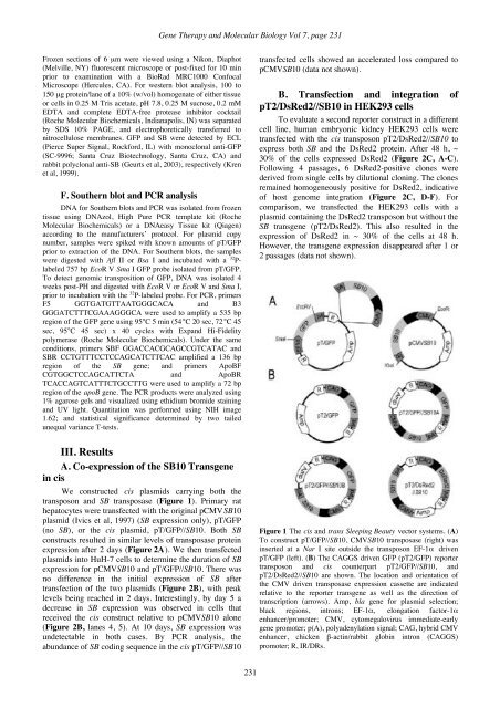 GTMB 7 - Gene Therapy & Molecular Biology