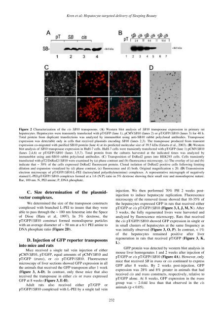 GTMB 7 - Gene Therapy & Molecular Biology