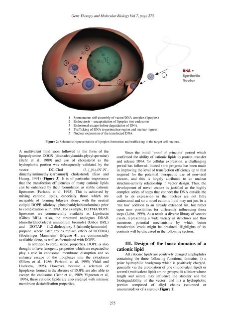 GTMB 7 - Gene Therapy & Molecular Biology