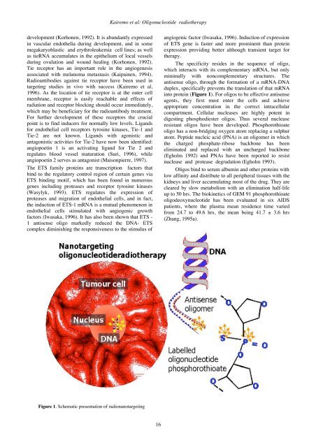 GTMB 7 - Gene Therapy & Molecular Biology