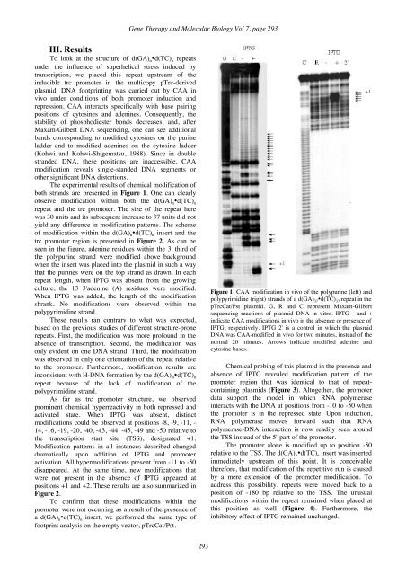 GTMB 7 - Gene Therapy & Molecular Biology