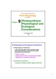 Photosynthesis: Physiological and Ecological Considerations