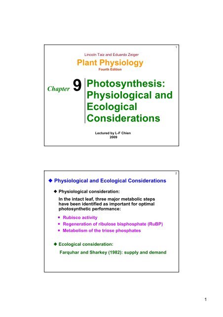 Photosynthesis: Physiological and Ecological Considerations