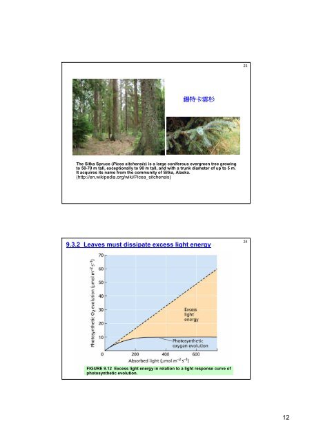 Photosynthesis: Physiological and Ecological Considerations