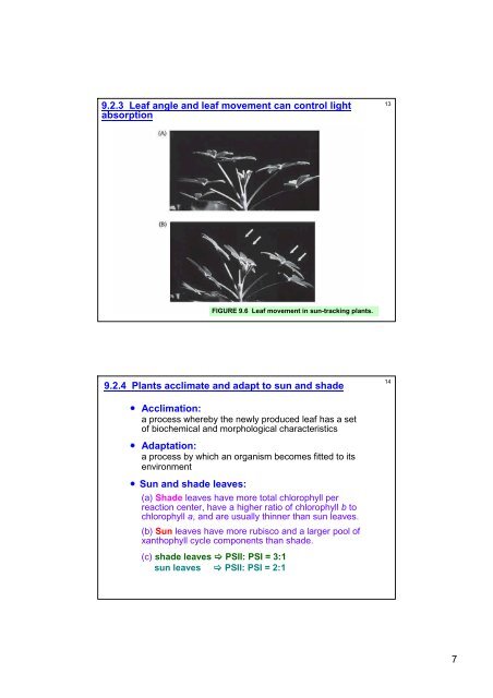 Photosynthesis: Physiological and Ecological Considerations