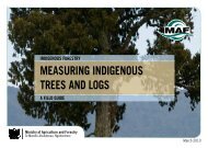 MEASUrING INDIGENOUS trEES AND LOGS - Ministry for Primary ...