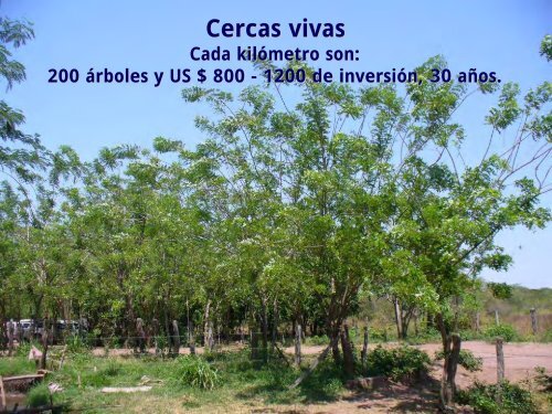 Árboles Dispersos