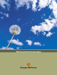 Environmental Performance Report 2003 - New Brunswick Electric ...