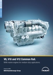 V8, V10 and V12 Common Rail.