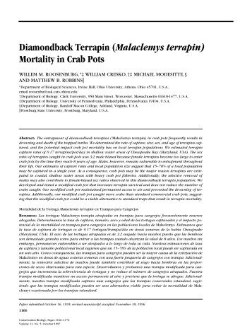 Diamondback Terrapin (Malaclemys terrapin) Mortality in Crab Pots
