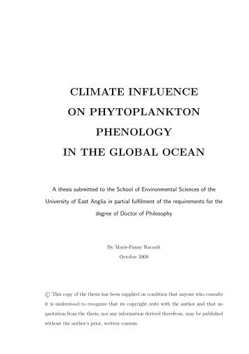 PhD thesis (pdf) - Interactions between Ocean Biogeochemistry ...