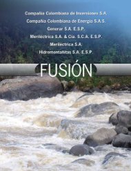 Informe de FusiÃ³n 2009 - Celsia