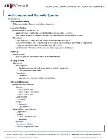 Actinomyces and Nocardia Species - ARUP Consult