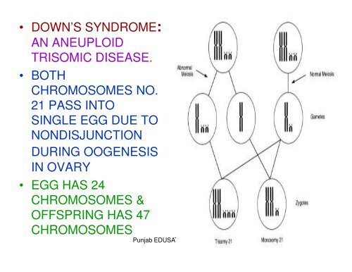 GENETIC DISORDERS & STRUCTURE OF DNA,