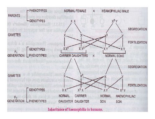 GENETIC DISORDERS & STRUCTURE OF DNA,