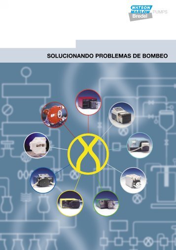 SOLUCIONANDO PROBLEMAS DE BOMBEO Bredel