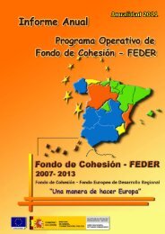 AÃ±o 2011 (pdf) - DirecciÃ³n General de Fondos Comunitarios