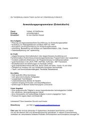 Stellenbeschreibung als PDF - Team Heese AG