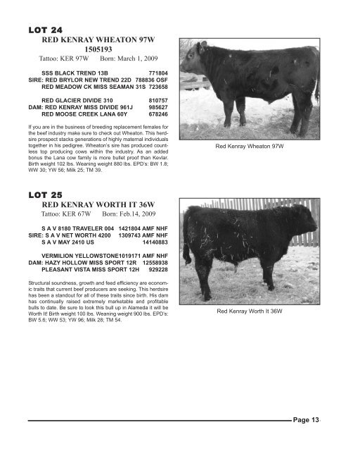 freitag-perrot cattle co. & town n country angus - Charolais Banner