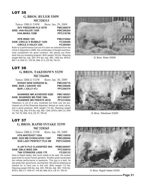 freitag-perrot cattle co. & town n country angus - Charolais Banner