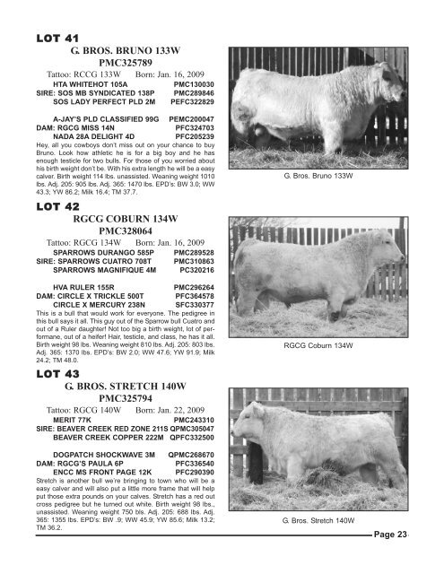 freitag-perrot cattle co. & town n country angus - Charolais Banner