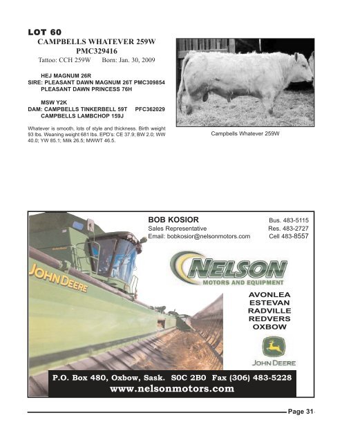 freitag-perrot cattle co. & town n country angus - Charolais Banner