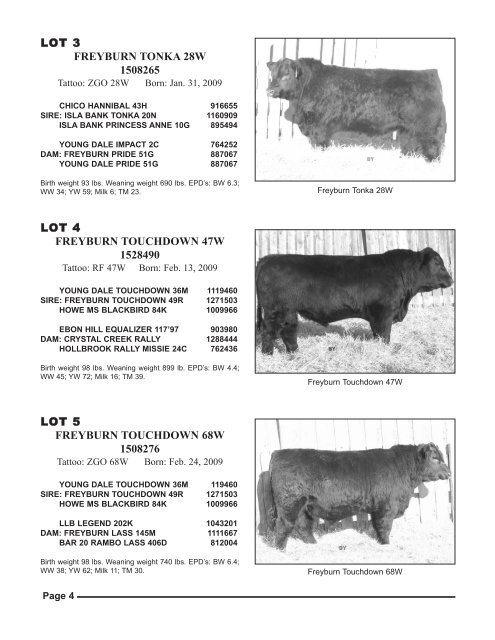 freitag-perrot cattle co. & town n country angus - Charolais Banner