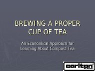 BREWING A PROPER CUP OF TEA