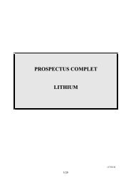 prospectus complet lithium - BNP Paribas Investment Partners