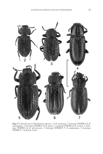 Serie A (Biologie) - Staatliches Museum fÃ¼r Naturkunde Stuttgart